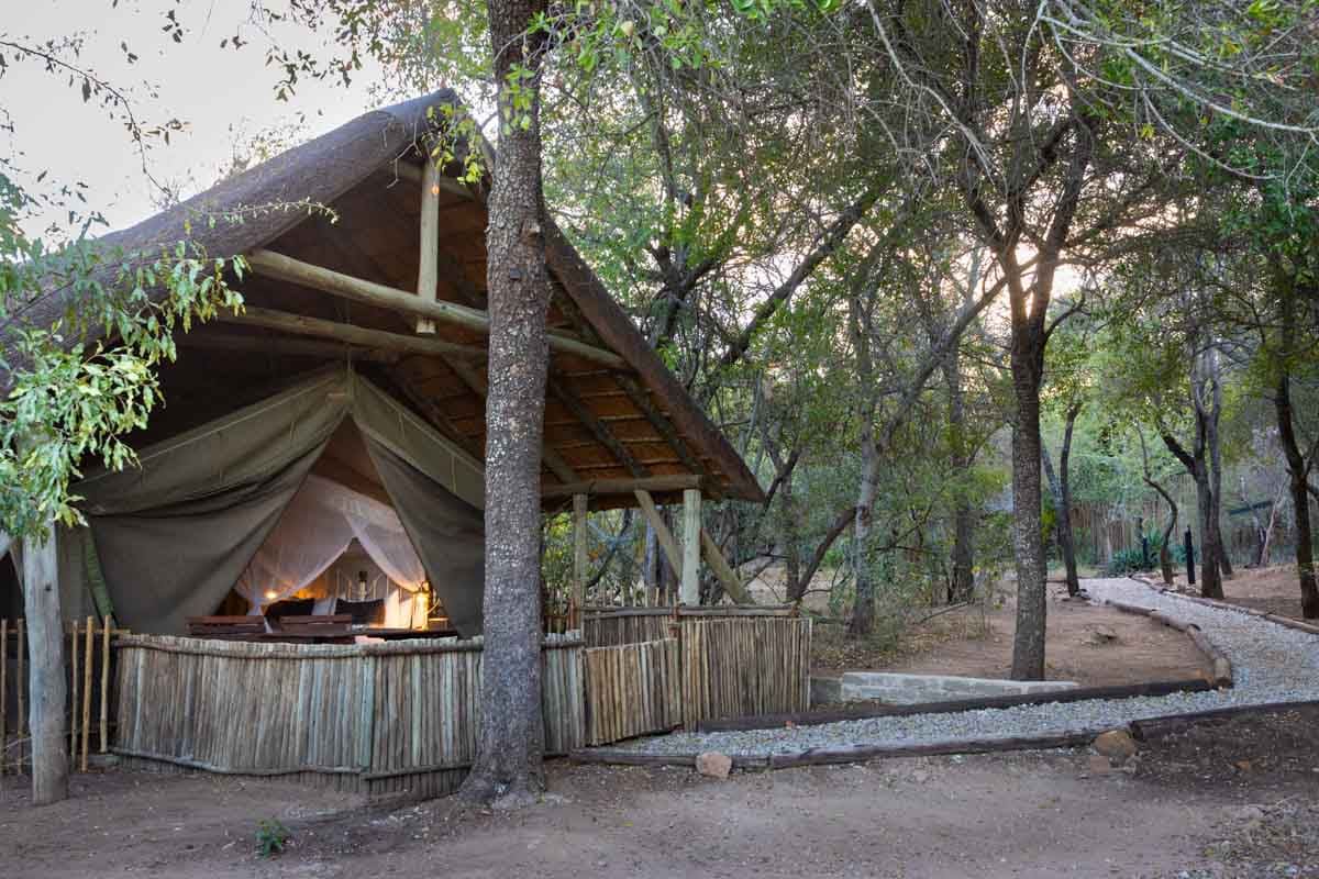 A thatched canvas safari tent with a lamplit interior behind a reed fence
